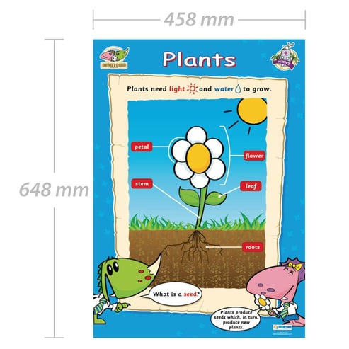 Plants Poster