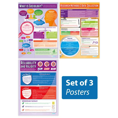 Introduction to Sociology Posters - Set of 3 