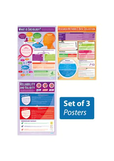 Introduction to Sociology Posters - Set of 3 