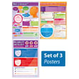 Introduction to Sociology Posters - Set of 3 