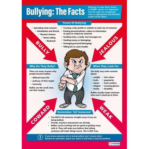 Bullying: The Facts Poster