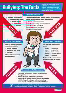 Bullying: The Facts Poster
