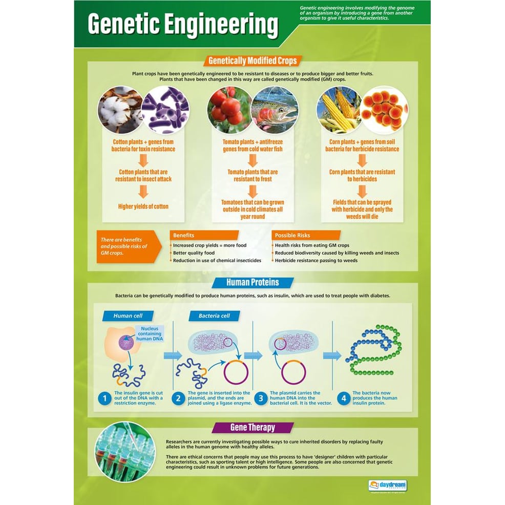 genetic engineering homework