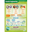 Genetic Engineering Poster