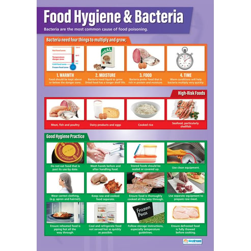 Food Hygiene and Bacteria Poster