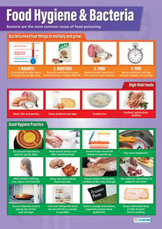 Food Hygiene and Bacteria Poster