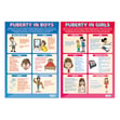 Puberty and Sex Posters - Set of 8 