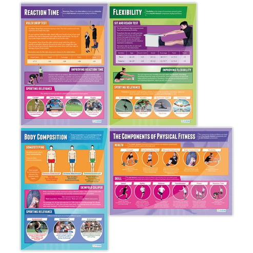 Components of Physical Fitness Posters - Set of 12