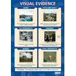 Visual Evidence Poster