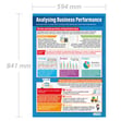 Analysing Business Performance Poster