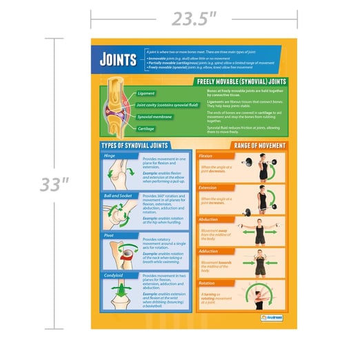 Joints Poster