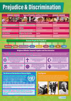 Prejudice & Discrimination Poster