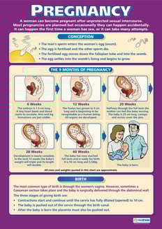 Pregnancy Poster