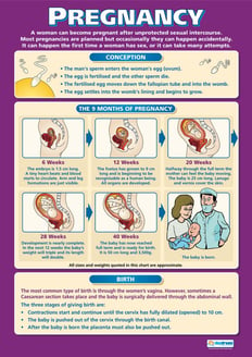 Pregnancy Poster