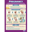 Pregnancy Poster