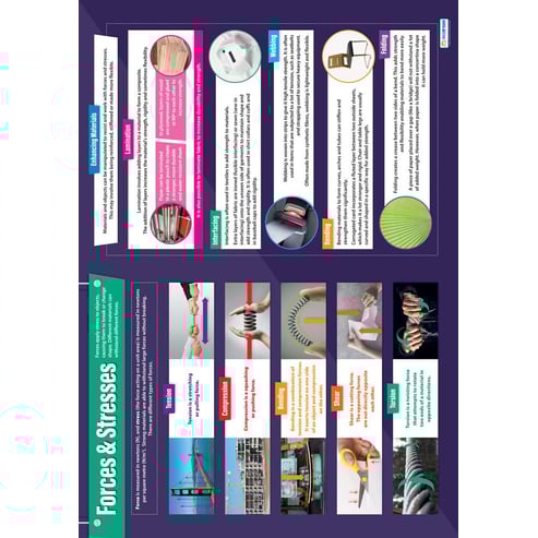 Forces & Stresses Poster