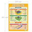 Eukaryotic and Prokaryotic Cells Poster