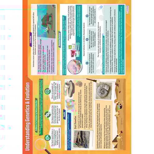 Understanding Genetics & Evolution Poster