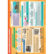 Understanding Genetics & Evolution Poster