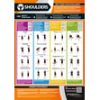 Shoulders Exercise Gym Poster 