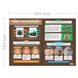 Timbers: Sources & Origins Poster