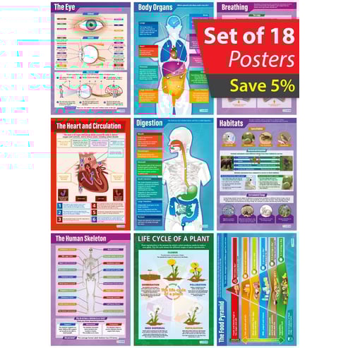 Life Processes and Living Things Poster - Set of 18 
