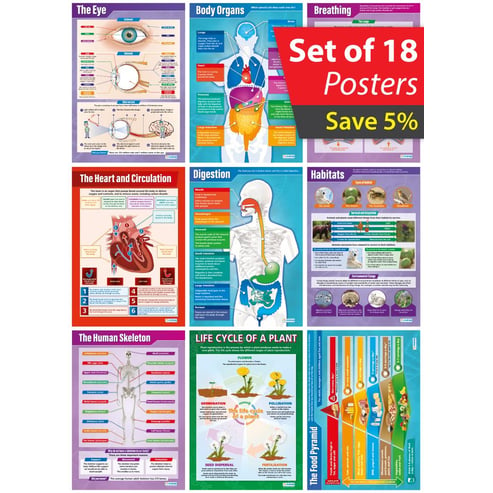 Life Processes and Living Things Poster - Set of 18 