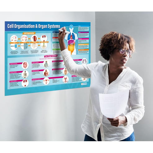 Cell Organization & Organ Systems Poster