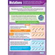 Mutations Poster