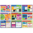 Computer Science Posters - Set of 34 