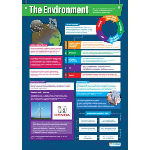 The Environment Poster