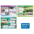 Tropical Environments Posters - Set of 3