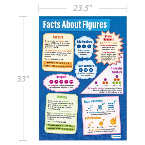 Facts About Figures Poster
