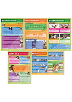 Health, Fitness and Well Being Posters - Set of 5