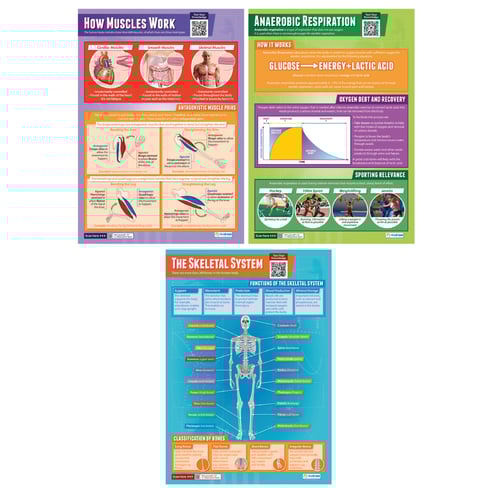 Applied Anatomy & Physiology Posters - Set of 9