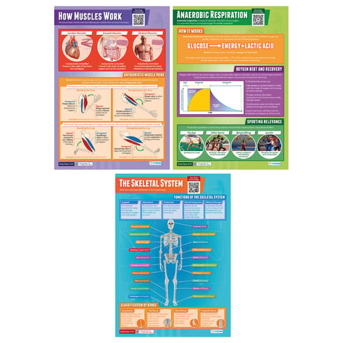 Applied Anatomy & Physiology Posters - Set of 9