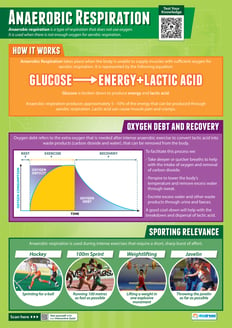 Anaerobic Respiration Poster