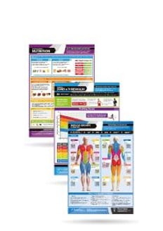 Exercise and Training Essentials Posters - Set of 3