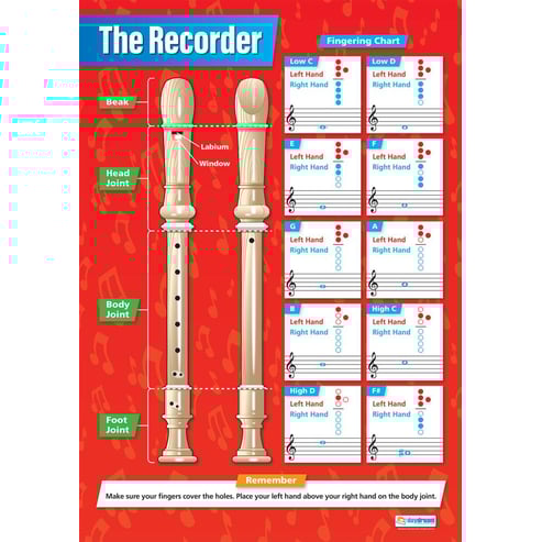 The Recorder Poster