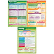 Working Scientifically Posters - Set of 5