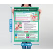 Biology High School Posters - Set of 6