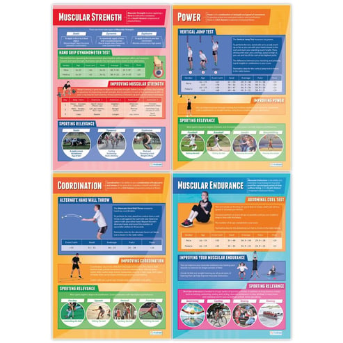Components of Physical Fitness Posters - Set of 12