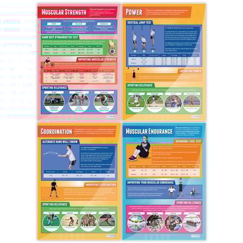 Components of Physical Fitness Posters - Set of 12