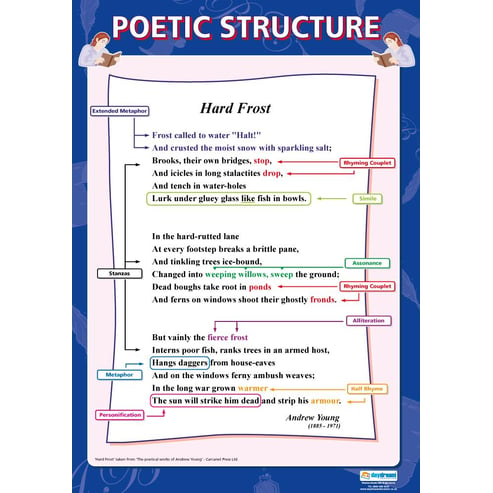 Poetic Structure Poster