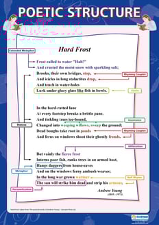 Poetic Structure Poster