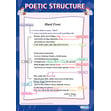 Poetic Structure Poster