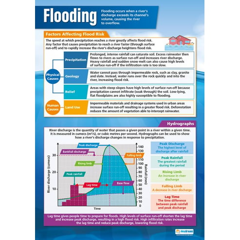 Human Environmental Impact Posters - Set of 4