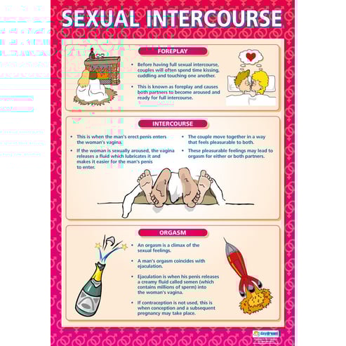 Sexual Intercourse Poster