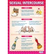 Sexual Intercourse Poster