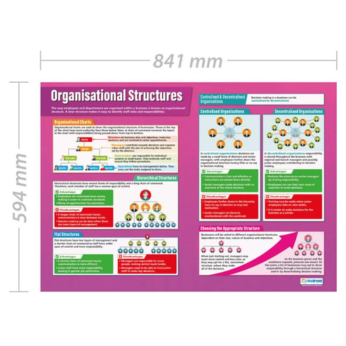 Organisational Structures Poster